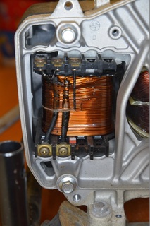 eg-390.JPG